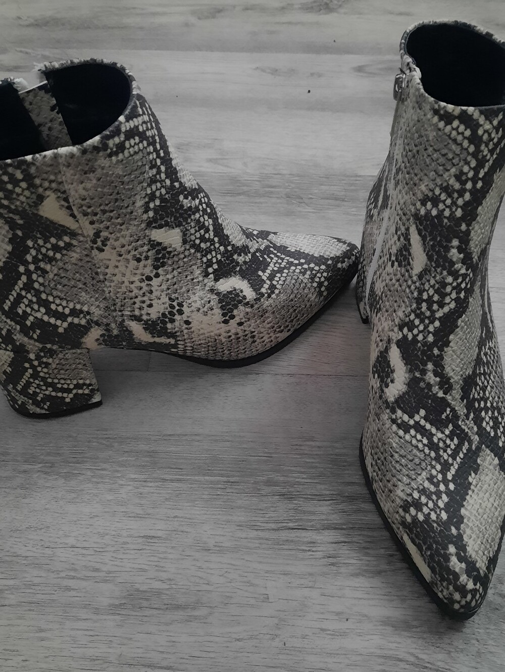 Madden Girl Snake-Print Pointed Toe Ankle Boots